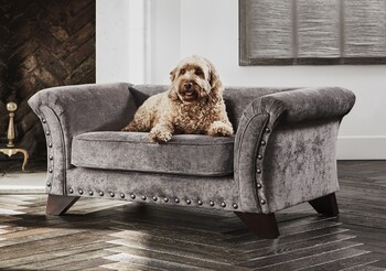 https://www.prshots.de/contents/archives/194/254/images/thumb350x287_auto/furniture_village_furniture-village-holly-fabric-pet-bed-with-st_74115_thumb.jpg