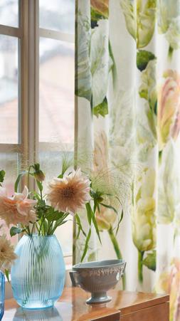 GRANDIFLORA ROSE COLLECTION