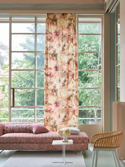 GRANDIFLORA ROSE COLLECTION
