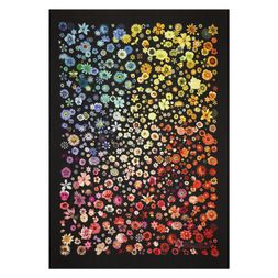 JARDIN DES HESPÉRIDES MULTICOLORE THROW