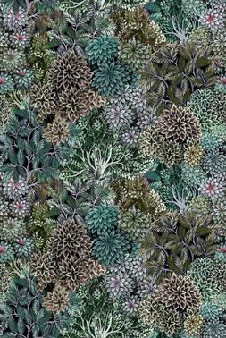 MADHYA_MOSS_FDG3026_01