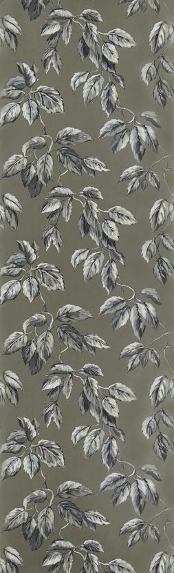 JANGAL_PDG1127_06