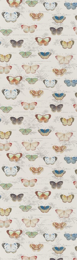 AW23 John Derian F&W Flatshots