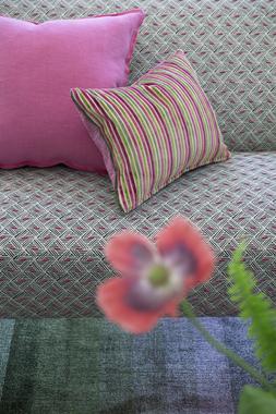 TULIPA STELLATA COLLECTION