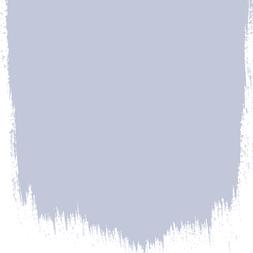 ALLIUM 135