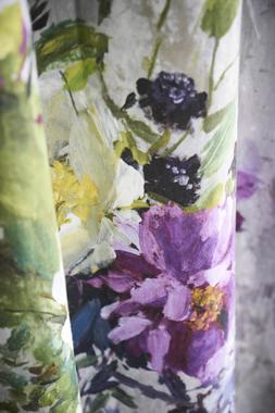 JARDIN DES PLANTES COLLECTION