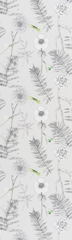 ACANTHUS-GRAPHITE