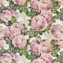 THE ROSE - TUBEROSE