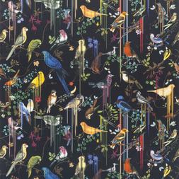 BIRDS SINFONIA - CRÉPUSCULE