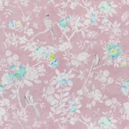 PONTOISE - BLOSSOM