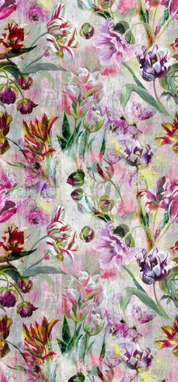 TULIPA STELLATA - FUCHSIA