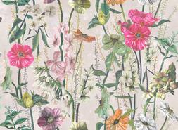 MASSON-FUCHSIA