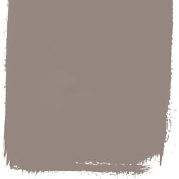 MOLESKIN 22