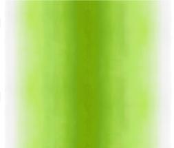 PADUA OUTDOOR-GRASS