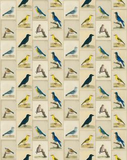 BIRD COLLAGE - PARCHMENT
