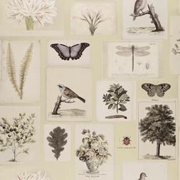 FLORA AND FAUNA - CANVAS