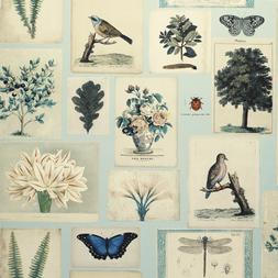 FLORA AND FAUNA - CLOUD BLUE