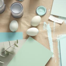 DESIGNERS GUILD PAINT