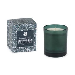 50061069 £20 NT Boxed Candle Blue Spruce and Frosted Pine