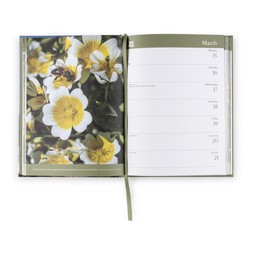 50082803 £12 National Trust Desk Diary 2027 Inner Page