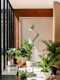 Anglepoise - Original 1227 Floor Lamp - National Trust Edition Buttermilk Yellow - £289 at anglepoise.com