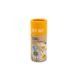 Seedball tube, Oxeye Daisy