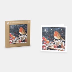 National Trust A Winter's Night Robin Cards Box of 10_gpd_5
