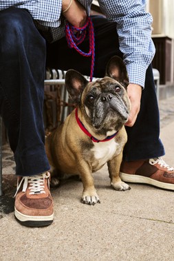 HAY Dogs Leash