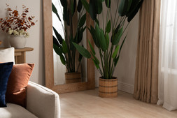 Karine Wood Frame Mirror 96 x 192 RRP €349 Now €199
