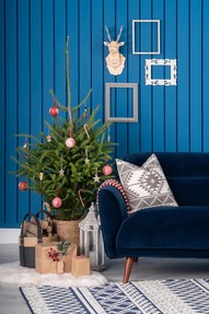 https://www.prshots.de/contents/archives/2441/1193/images/thumb350x287_auto/michael_murphy_home_furnishing_dsc07949_thumb.jpg