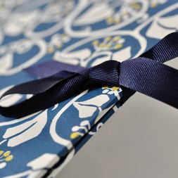 A4 Portfolio Ivy Deep Marine Blue and Acid Yellow
