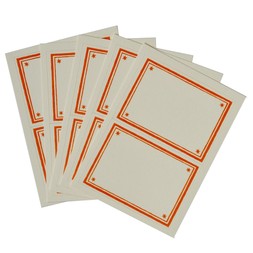 Packet of 10 Large Self-Adhesive Labels with Neon Border