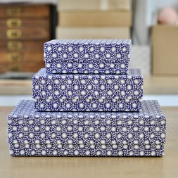 A Nest of Three Simple Boxes in Animalcules Twilight
