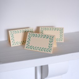 Pack of Twelve Aquamarine Place Cards