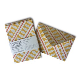 Packet of Ten Patterned Envelopes in Charleston Stripe