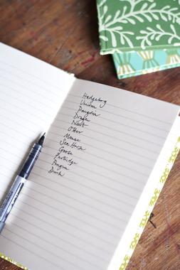 Lined Hardback Notebooks