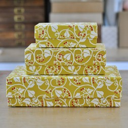 A Nest of Three Simple Boxes in Ivy Piccalilli
