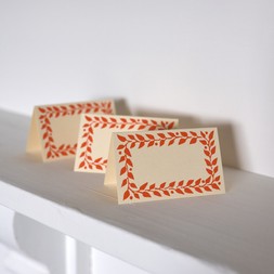 Pack of Twelve Neon Place Cards