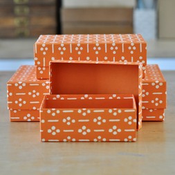 A Nest of Three Simple Boxes in Ugizawa Neon