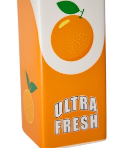 Citrus Carton Vase £25