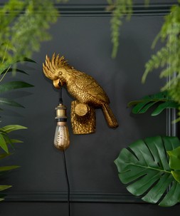 Crafty Cockatoo Wall Light £85