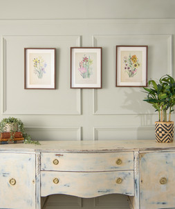 Fresh Flowers Framed Prints Set Of 3 £35