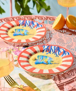 Magnificent Marine Fish Melamime Side Plates £22
