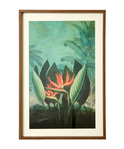 Tropical Floral Framed Prints Set Of 3 £75