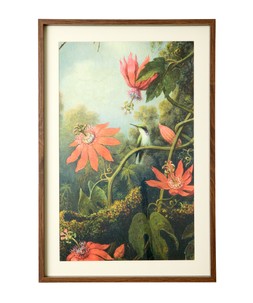 Tropical Floral Framed Prints Set Of 3 £75