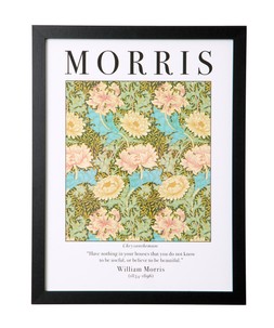 William Morris Norwich And Chrysanthemum Set Of 2 Framed Prints £35