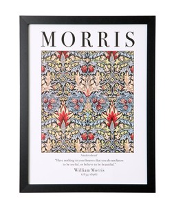William Morris Snakeshead And Seaweed Set Of 2 Framed Prints £35