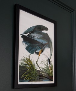 Great Blue Heron And Flamingo Framed Prints Set Of 2 £40