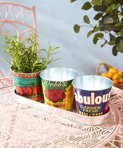 Retro Tomato Tin Planters Set £15