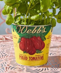Retro Tomato Tin Planters Set £15